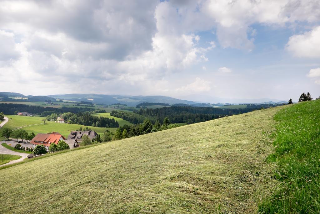 Gasthaus Sonne Neuhaeusle Sankt Märgen المظهر الخارجي الصورة